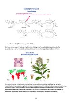 Research Papers 'Alkaloīdu biosintēze augos', 13.