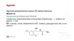 Presentations 'Adrenoreceptori α1, tos ietekmējošas zāles', 4.