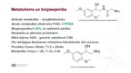 Presentations 'Adrenoreceptori α1, tos ietekmējošas zāles', 5.