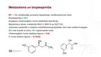 Presentations 'Adrenoreceptori α1, tos ietekmējošas zāles', 7.