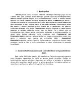 Summaries, Notes 'Latvijas un Austrijas policiju salīdzinājums', 5.