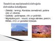 Presentations 'Tundra', 11.