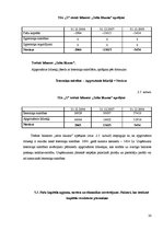 Practice Reports 'Finanšu analīze SIA "X"', 30.