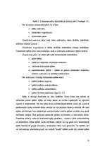 Research Papers 'Didaktiskās spēles izmantošana pedagoģiskajā procesā', 23.