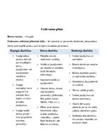 Summaries, Notes 'Pasaka "Zeltmatīte un trīs lāči"', 2.