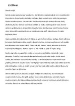Summaries, Notes 'Džoakīno Antonio Rosīni opera "Seviljas bārddzinis"', 3.