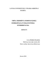 Research Papers 'Urīna sedimenta morfoloģiskā izmeklēšana un diagnostiskā interpretācija', 1.