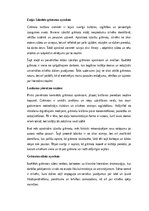 Essays 'Izlasītās grāmatas apraksts: literārās pieredzes un personīgo atziņu sintēze', 1.