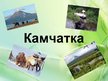 Presentations 'Камчатка', 1.