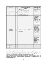 Term Papers 'Fitnesa treniņu process sievietēm ķermeņa kompozīcijas  korekcijai', 29.