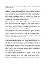 Essays 'SVID analīze: stratēģiskās plānošanas rīks mūsdienu uzņēmējdarbībā', 3.