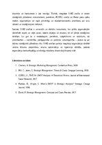 Essays 'SVID analīze: stratēģiskās plānošanas rīks mūsdienu uzņēmējdarbībā', 5.