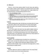 Research Papers 'Lursoft IT mārketinga vides un stratēģijas analīze un darbības plānošana', 14.