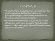 Presentations 'Ventspils', 4.