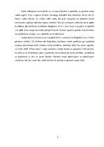 Essays 'Mikelandželo Antonioni "Fotopalielinājums"', 4.