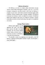 Research Papers 'Leģendārais ģitārists Pat Metheny', 8.