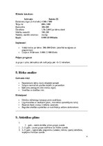 Business Plans 'Biznesa plāns privātbērnudārza atvēršanai', 4.