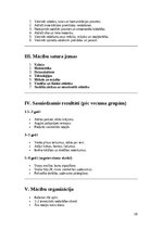 Business Plans 'Biznesa plāns privātbērnudārza atvēršanai', 10.