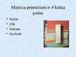Presentations 'Matricu jeb adatu printeri', 3.