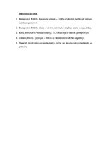 Essays 'Cilvēka gaisma: pretsvars dehumanizācijai mūsdienu pasaulē', 3.