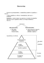 Summaries, Notes 'Ievads ekonomikas priekšmetā', 1.