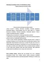 Research Papers 'Uzņēmuma preču virzīšana mārketinga komunikāciju sistēmā', 3.