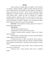 Research Papers 'Pārdošanas veicināšanas pasākumu piedāvājums uzņēmumam SIA "Caramel"', 7.