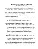 Research Papers 'Pārdošanas veicināšanas pasākumu piedāvājums uzņēmumam SIA "Caramel"', 15.