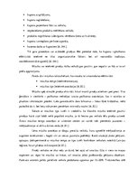 Research Papers 'Pārdošanas veicināšanas pasākumu piedāvājums uzņēmumam SIA "Caramel"', 18.