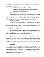 Research Papers 'Pārdošanas veicināšanas pasākumu piedāvājums uzņēmumam SIA "Caramel"', 20.