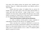 Research Papers 'Pārdošanas veicināšanas pasākumu piedāvājums uzņēmumam SIA "Caramel"', 35.