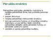 Presentations 'Jūrmalas izglītības sistēmas analīze', 8.