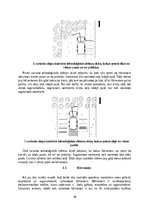 Research Papers 'Darba izpildes tehnoloģijas analīze koku gāšanas, atzarošanas un sagarumošanas o', 10.