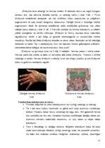 Research Papers 'Tetovējums - ķermeņa rotājums vai izkropļojums?', 13.