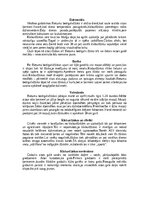 Summaries, Notes 'Klaburčūskas', 10.