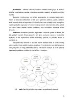 Research Papers 'Sociālās palīdzībs organizatora profesionālā darbība un izaugsme', 15.
