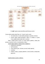 Research Papers 'Sociālās palīdzībs organizatora profesionālā darbība un izaugsme', 18.