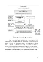 Research Papers 'Sociālās palīdzībs organizatora profesionālā darbība un izaugsme', 21.