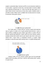 Research Papers 'Sociālās palīdzībs organizatora profesionālā darbība un izaugsme', 23.
