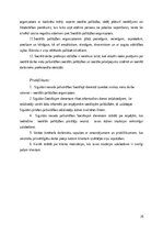 Research Papers 'Sociālās palīdzībs organizatora profesionālā darbība un izaugsme', 26.