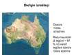 Presentations 'Austrālijas dabas resursi', 10.