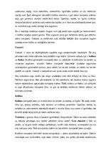 Summaries, Notes 'Augu audu veidi un funkcijas', 10.