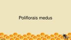 Presentations 'Poliflorais medus', 1.