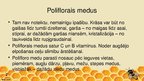 Presentations 'Poliflorais medus', 2.