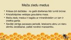 Presentations 'Poliflorais medus', 5.