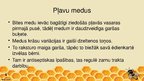 Presentations 'Poliflorais medus', 6.