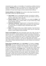 Summaries, Notes 'Ķeltu civilizācija: vēsture, reliģija, druīdi, kultūra un mantojums', 6.
