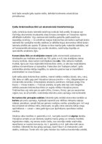 Summaries, Notes 'Ķeltu civilizācija: vēsture, reliģija, druīdi, kultūra un mantojums', 16.