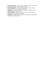 Summaries, Notes 'Ķeltu civilizācija: vēsture, reliģija, druīdi, kultūra un mantojums', 35.