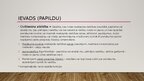 Presentations 'Civiltiesiskās atbildības modeļi', 4.